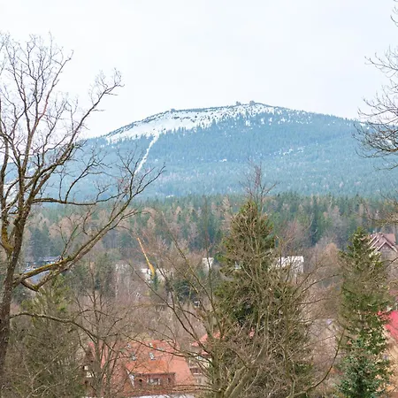 Апартаменты Dream View