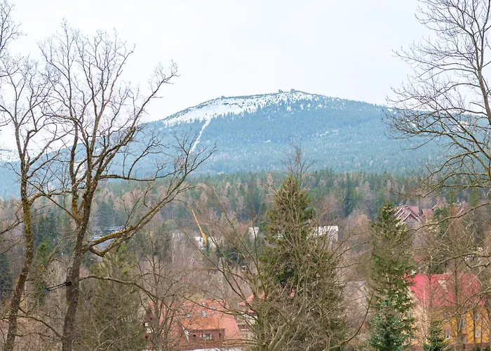 Apartament Dream View